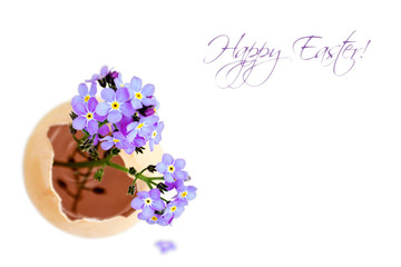 Easter card with spring flowers in eggshell isolated on white background