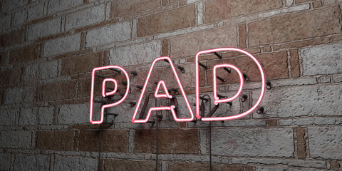 PAD - Glowing Neon Sign on stonework wall - 3D rendered royalty free stock illustration.  Can be used for online banner ads and direct mailers..