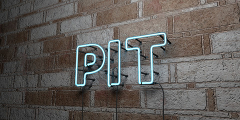 PIT - Glowing Neon Sign on stonework wall - 3D rendered royalty free stock illustration.  Can be used for online banner ads and direct mailers..