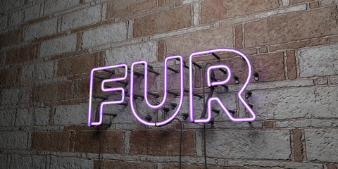 FUR - Glowing Neon Sign on stonework wall - 3D rendered royalty free stock illustration.  Can be used for online banner ads and direct mailers..
