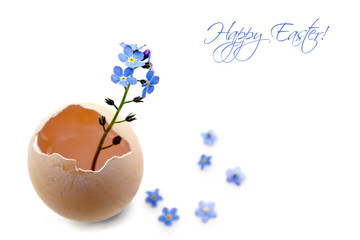Easter card with spring flowers in eggshell