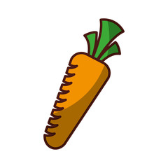 carrot fresh vegetable isolated icon vector illustration design