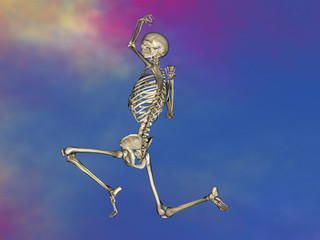 Human skeleton M-SK-POSE M4ay-28-5, 3D Model