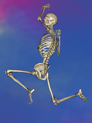 Human skeleton M-SK-POSE M4ay-28-4, 3D Model