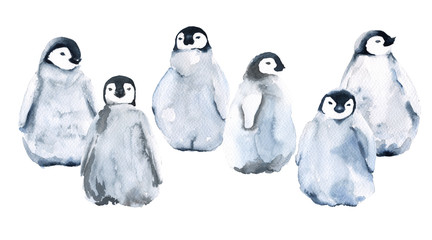 Set of six little penguins. isolated on white background. Watercolor illustration.