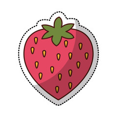 strawberry sweet fruit isolated icon vector illustration design