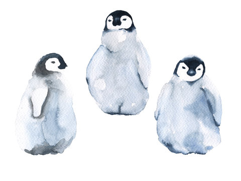 Set of three little penguins. isolated on white background. Watercolor illustration.