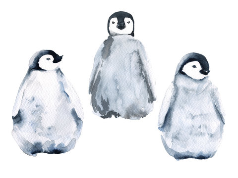 Set of three little penguins. isolated on white background. Watercolor illustration.