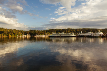 Bainbridge Island - Olympic Peninsula, Washington