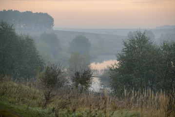 Fototapeta na wymiar dense morning fog in the summer woods by the pond