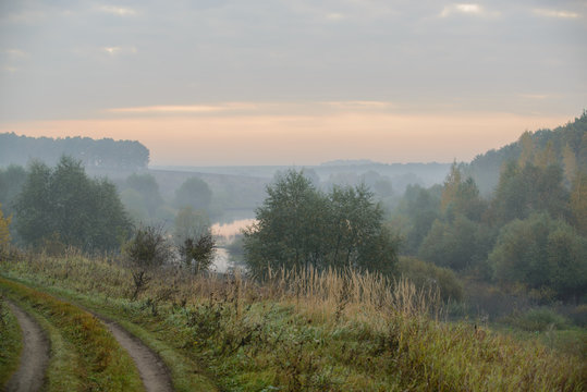 Fototapeta Forest road in the morning mist