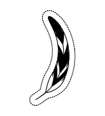 feather drawing isolated icon vector illustration design