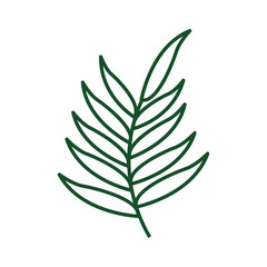 leaf drawing isolated icon vector illustration design