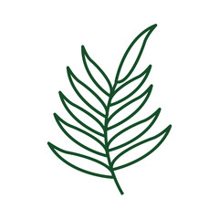 leaf drawing isolated icon vector illustration design