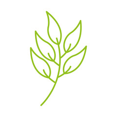leaf drawing isolated icon vector illustration design