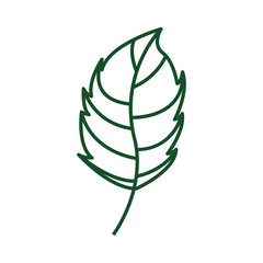 Fototapeta na wymiar leaf drawing isolated icon vector illustration design