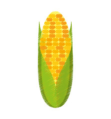 corn vegetable isolated icon vector illustration design