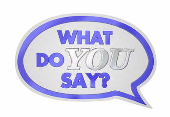 What Do You Say Speech Bubble Opinion Vote 3d Illustration