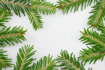 Fir tree branches on sparkling background