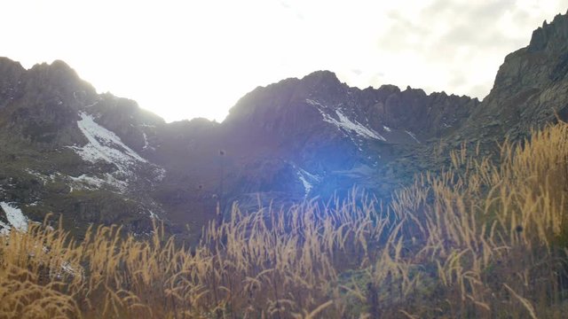 yellow autumn grass swaying in wind, snow tops with a beautiful lens flare