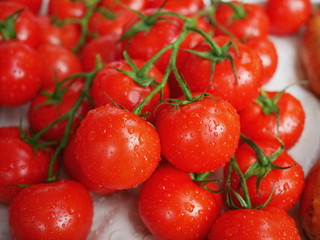 Fresh ripe tomatoes