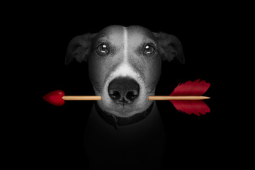 dog love arrow valentines