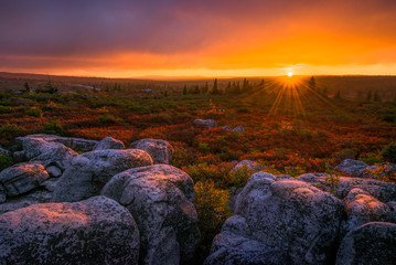 West Virginia, scenic sunset, Dolly Sods