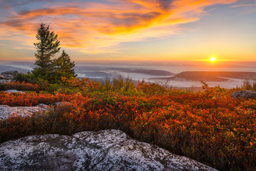 Naklejka premium West Virginia, scenic sunrise, Dolly Sods
