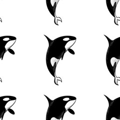 Grampus seamless pattern. Vector illustration