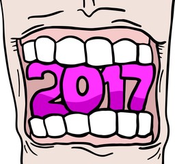 2017 new year symbol