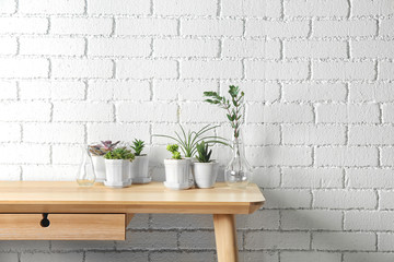 Succulents on wooden table on white brick wall background