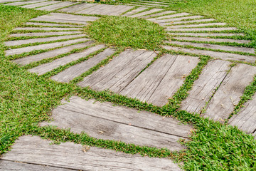 Concrete Pathway in garden