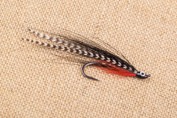 Colorful Fishing Fly Close Up