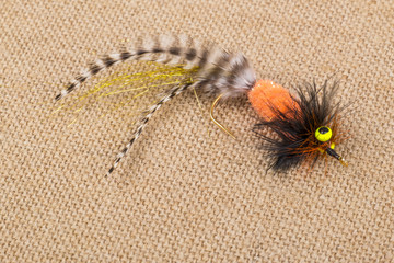 Colorful Fishing Fly Close Up
