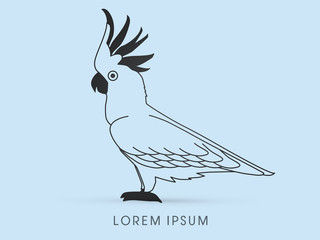 Outline Cockatoo, graphic vector.
