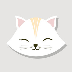 cat pet related icon image vector illustration design 