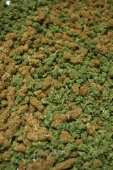 Obraz premium Buds 2