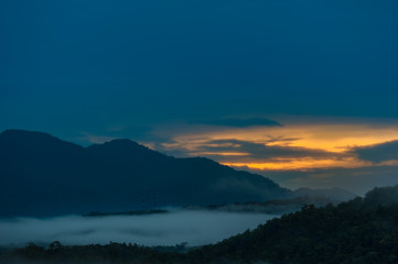 Obraz premium Tropical Rainforest in Hala-Bala Wildlife Sanctuary the morning