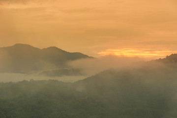 Tropical Rainforest in  Hala-Bala Wildlife Sanctuary the morning