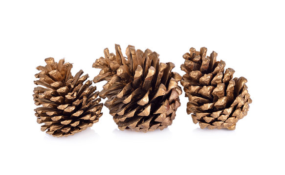 dry conifer cones for decoration on white background