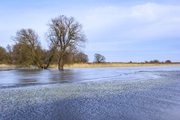 View of the flooded landscape on the river Oder