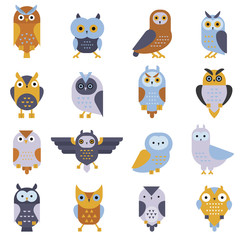 Cartoon cute owl vector