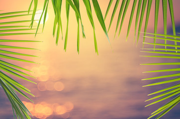 Green nature palm leaf on blur tropical beach with sun light abstract background.