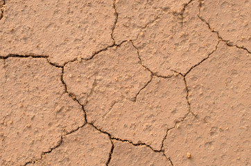 Close up dry crack soil texture background.