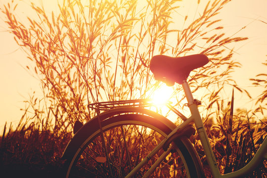 vintage bike  with beautiful landscape image on sunset.