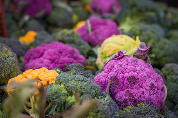 Heirloom Broccoli 