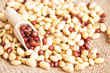 Soybeans and red beans high protein preparing for dessert