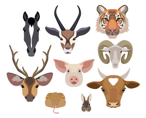 Vector animals heads collection. Flat, cartoon style design elements
