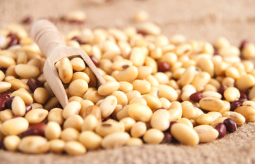 Soybeans and red beans high protein preparing for dessert