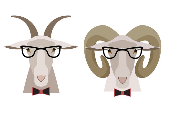 Vector Goat ,sheep in glasses and bow. cartoon flat style